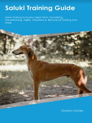 cover image of Saluki Training Guide Saluki Training Includes